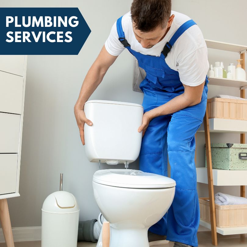 Plumbing Company in Perronville, MI